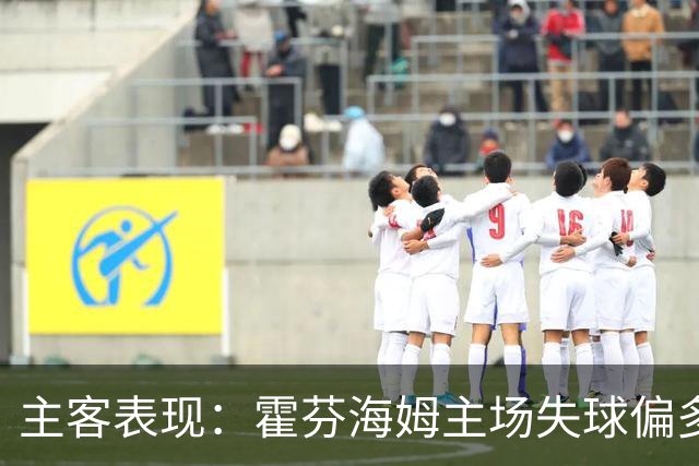 主客表现：霍芬海姆主场失球偏多，里昂客场更稳
