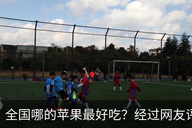 全国哪的苹果最好吃？经过网友评比，这6个榜上有名，有你家乡吗