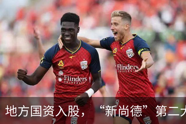地方国资入股，“新尚德”第二大股东就位，无锡尚德获新生