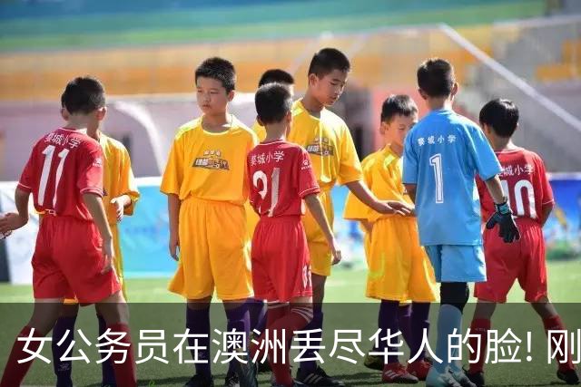 女公务员在澳洲丢尽华人的脸! 刚刚, 她当庭认罪!