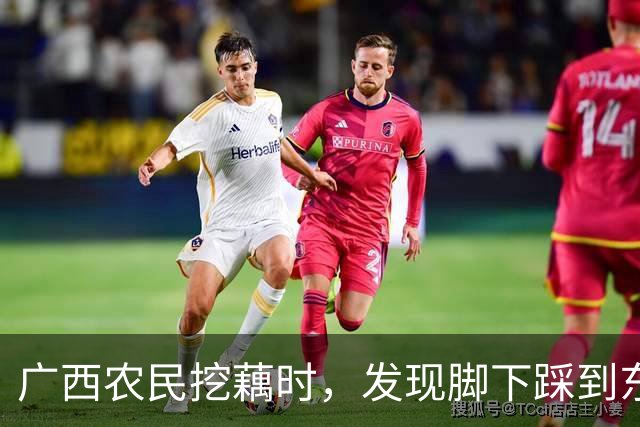 广西农民挖藕时，发现脚下踩到东西，众人合力将其挖出后全都傻眼