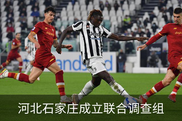 河北石家庄成立联合调查组