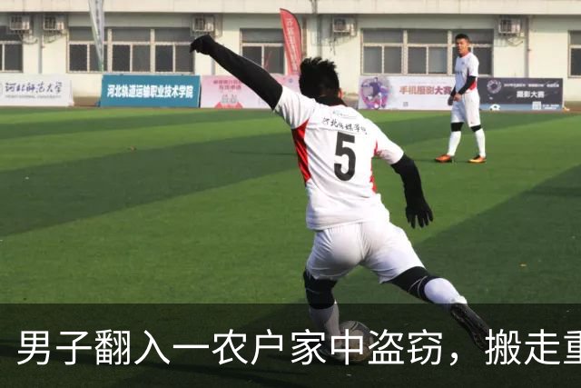 男子翻入一农户家中盗窃，搬走重达百斤的保险箱，里面装有57万元现金和300多克黄金，法院：判处有期徒刑十年六个月，并处罚金二十万元