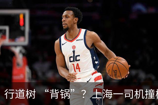 行道树 “背锅”？上海一司机撞树后主张树木全责，结果来了