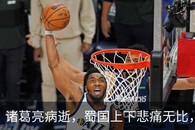 诸葛亮病逝，蜀国上下悲痛无比，唯有一人仰天大笑：苍天有眼！