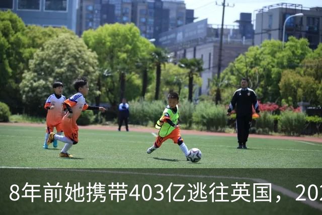 8年前她携带403亿逃往英国，2025年被捕时账上竟有480亿，啥原因