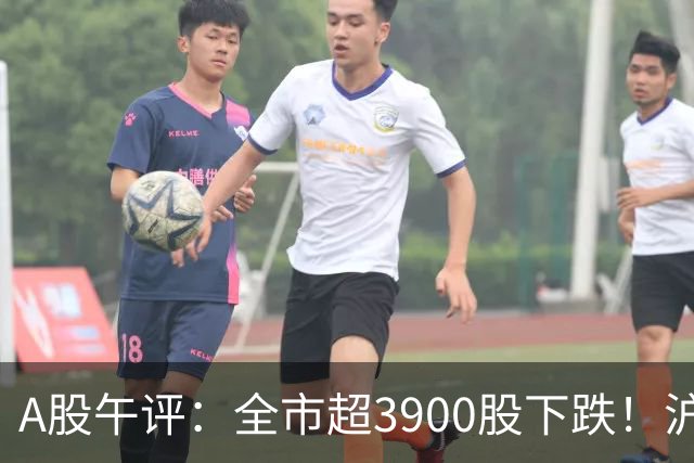 A股午评：全市超3900股下跌！沪指跌0.89%，创业板指跌2.77%，均创逾一年新低